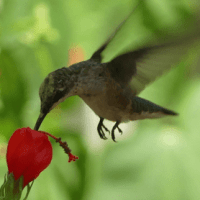 Major Life Change for Me